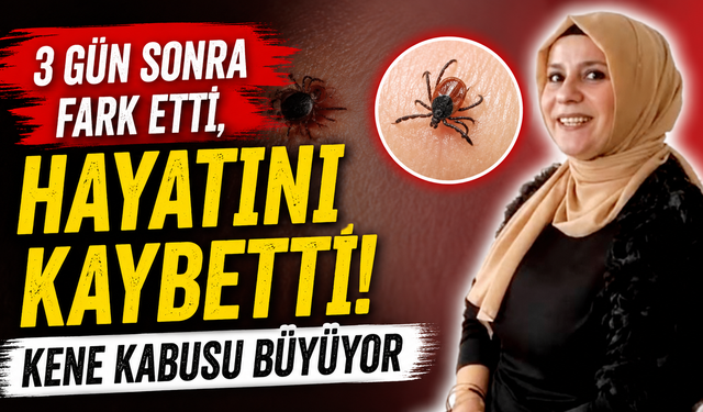 Kene tehlikesi can almaya devam ediyor! Bir kadın daha yaşamını yitirdi