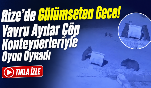 Ayı yavrularının gece mesaisi! Konteynerleri böyle sürüklediler