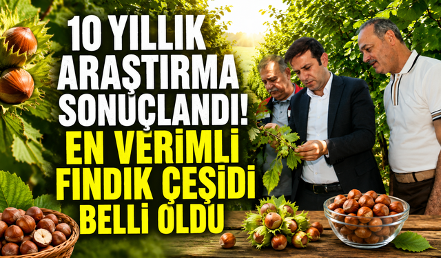 TAGEM destekli dev araştırma tamamlandı! Fındıkta verim haritası çıkarıldı