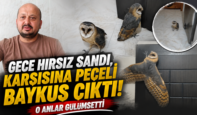 'Hırsız var' diye uyandı,karşısında baykuşu buldu!