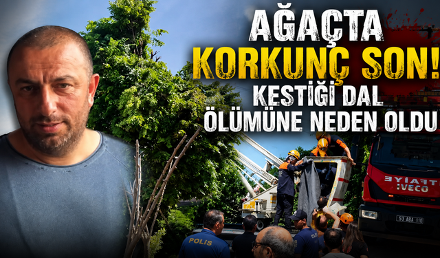 Bir dal, bir hayat: Ihlamur toplarken akıma kapıldı