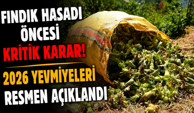Giresun'da hasat mesaisi başlıyor! İşçilerin alacağı yevmiye netleşti