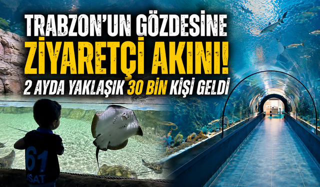 Trabzon'un turizm yıldızı parlıyor! Tünel Akvaryum'a ziyaretçi akını