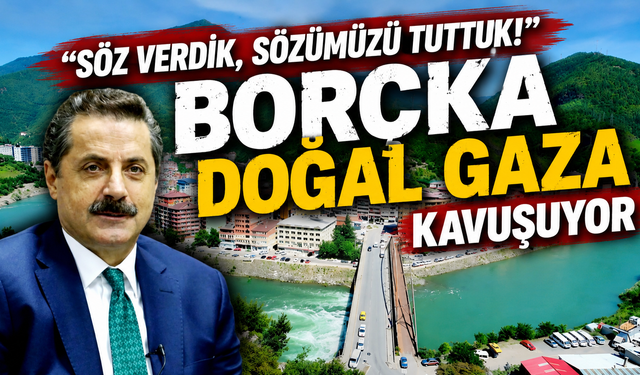 Borçka'nın yıllardır beklediği müjde! Doğal gaz için kritik onay çıktı