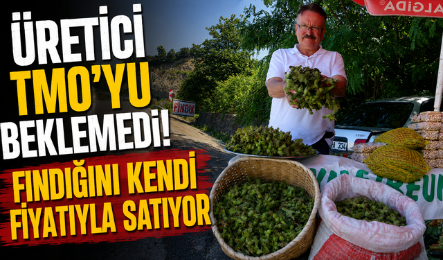 Dalından toplandı,aynı gün satışa çıktı! Taze fındığa büyük ilgi