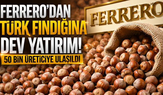 Karadeniz fındığında sürdürülebilirlik atağı! Ferrero raporunu yayımladı