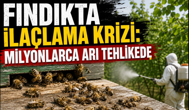 Bal üreticileri endişeli:Bilinçsiz ilaçlama arıları bitiriyor iddiası