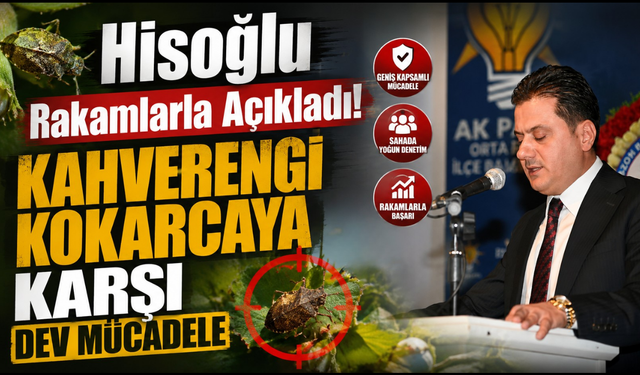 Kokarcaya karşı 140 bin Samuray Arısı! Trabzon’da biyolojik mücadele