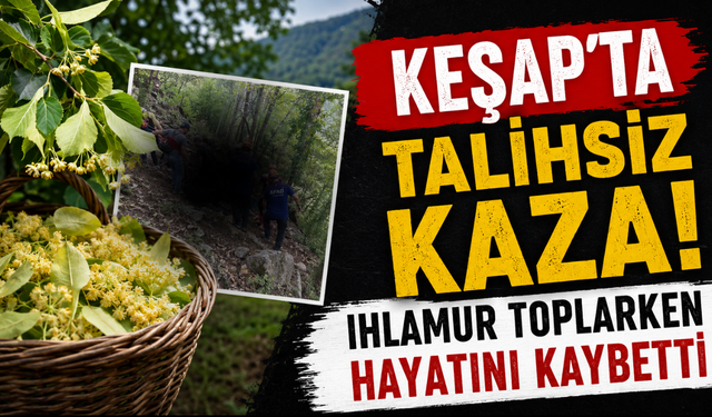 Ihlamur toplarken taşlık zemine düştü! Hastanede yaşamını yitirdi
