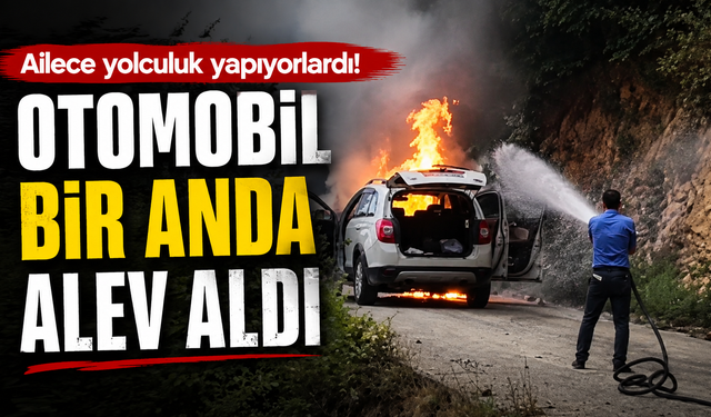 Yol ortasında alev topuna döndü!