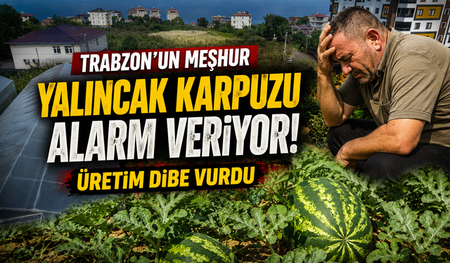 Yalıncak karpuzunda tehlike çanları!