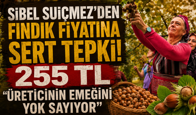 YENİ Parti Milletvekili Suiçmez: "255 tl,üreticiye reva görülemez"
