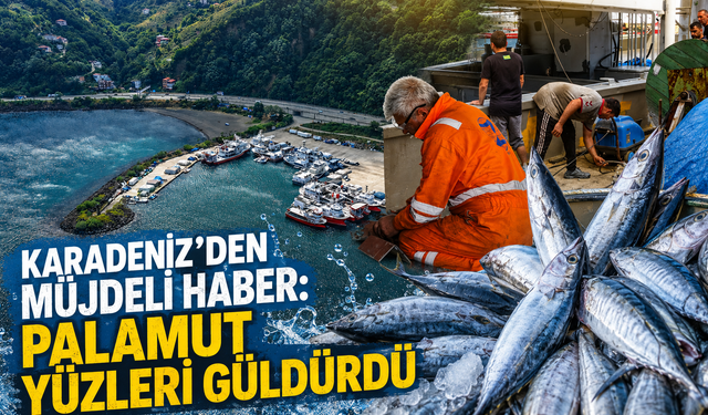 Karadeniz’de sezon öncesi palamut sürprizi