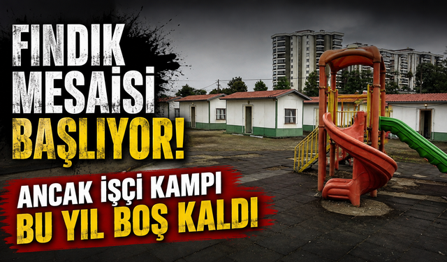 Hasat öncesi beklenmedik manzara! İşçi kampında yoğunluk oluşmadı