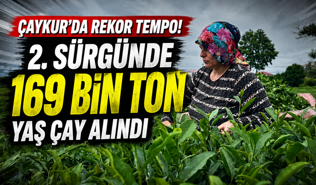 2. sürgünde yoğun tempo! ÇAYKUR fabrikaları aralıksız çalışıyor