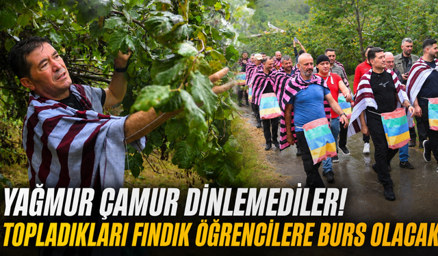 Ortahisar’da fındıklar bu kez öğrenciler için toplandı!