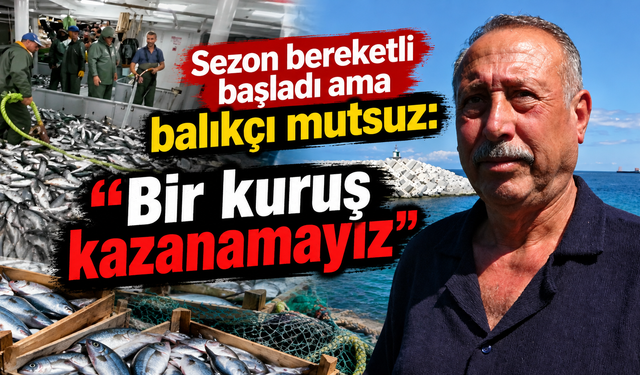 Sezon bereketli başladı ama balıkçı mutsuz
