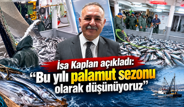 Trabzon’da palamut patlaması: 18 günde 1.300 ton