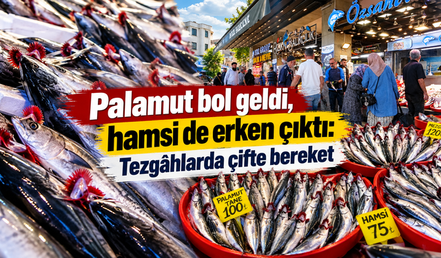 Sezon bereketli başladı:Palamut 50 ile 125 TL arasında