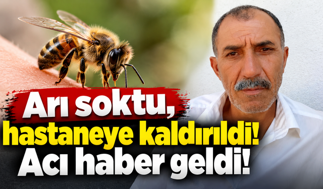 Arı sokması sonrası yaşamını yitirdi