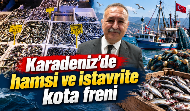 Hamside 45 bin ton sınırı: Kota dolunca av duracak