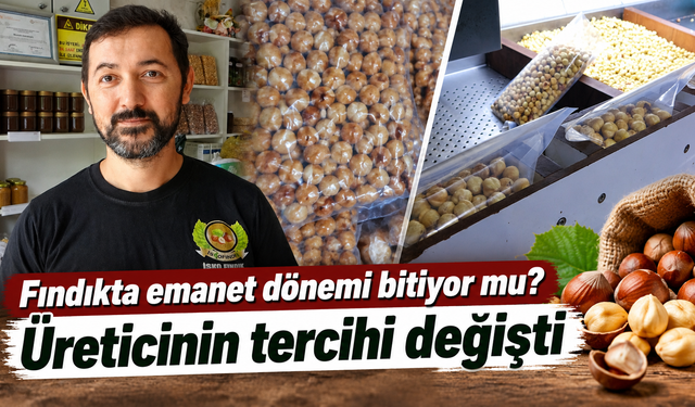 Trabzon’da fındıkta yeni kazanç kapısı