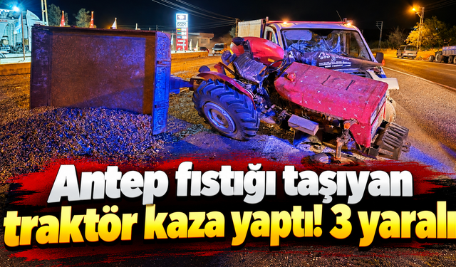 Traktör yan yattı, Antep fıstıkları yola saçıldı!
