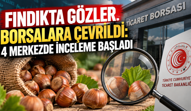 Fındık piyasasına Bakanlık merceği: Müfettişler sahaya indi