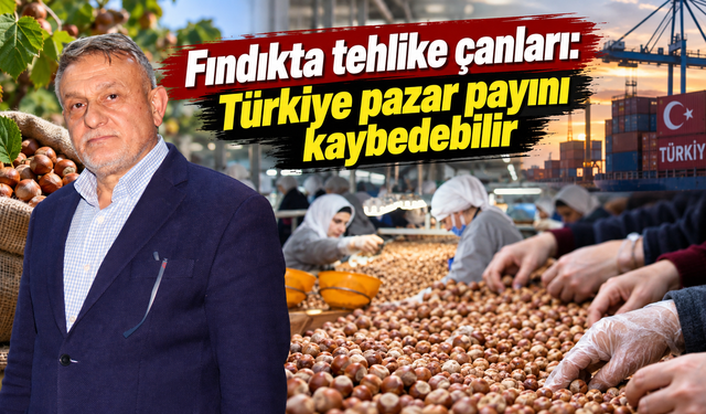 Fındıkta TMO ile serbest piyasa makası açıldı