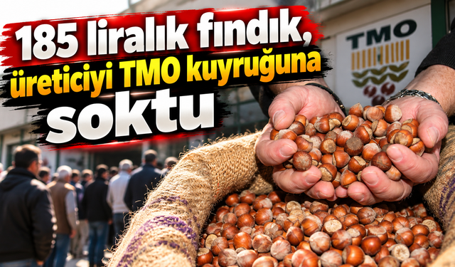 Serbest piyasa düştü, TMO önleri doldu