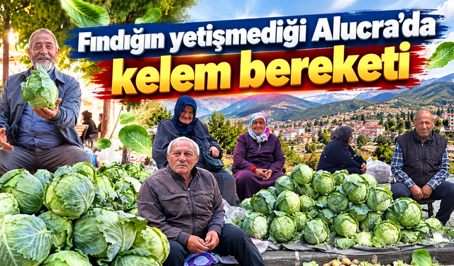 Alucra kelemi hem sofraya hem ekonomiye katkı sağlıyor
