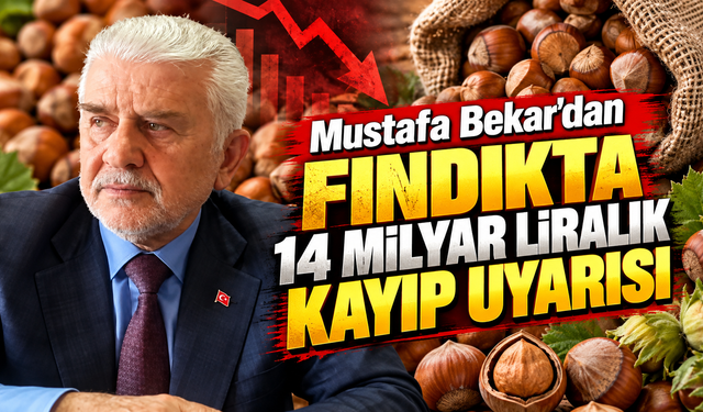 Ortahisar Ziraat Odası'ndan fındık için kritik çağrı