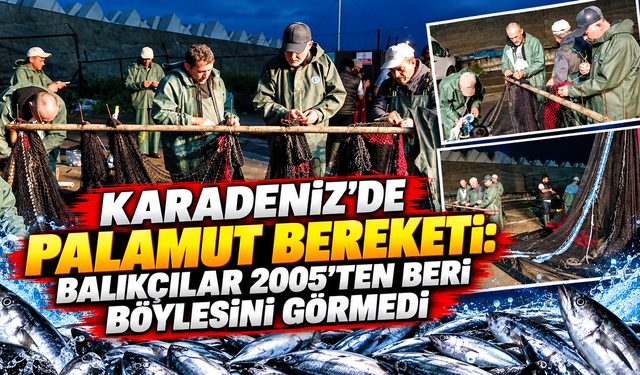 Deniz üstten sakin, alttan dere gibi akıyor