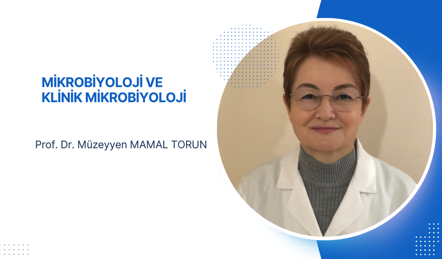 "Antibiyotik direnci, salmonella enfeksiyonlarını daha tehlikeli hale getiriyor"