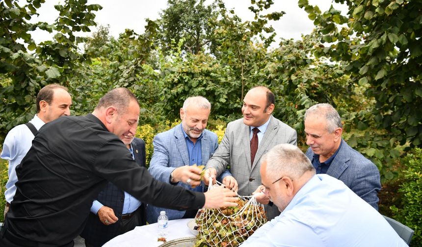 Başkan Vekili Kanca: “Fındıkta verimi artıracak projelerin destekçisiyiz”