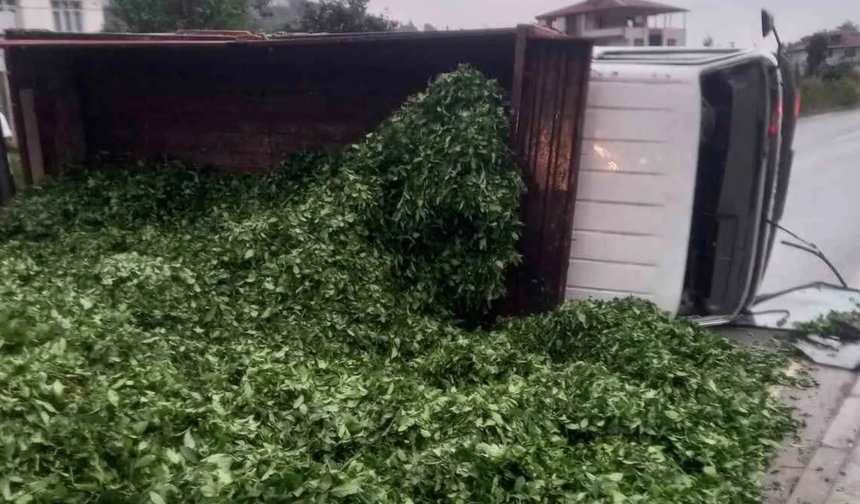 Kaza sonrası 10 ton çay yere saçıldı