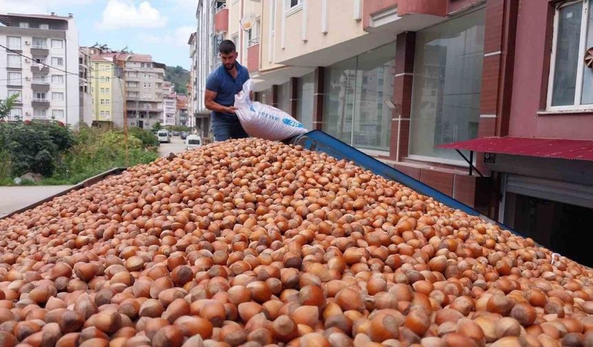 Fındık ihracatında çıta yükseliyor