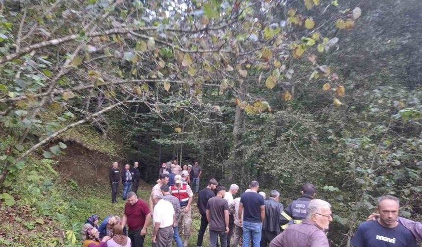 Ordu’da feci kaza: Uçuruma yuvarlanan patpatın altında can verdi