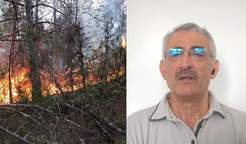 Prof. Dr. Bilgili: "Ekosistem yangın sonrası birkaç yıl içinde kendilerini doğal yollarla yeniler"