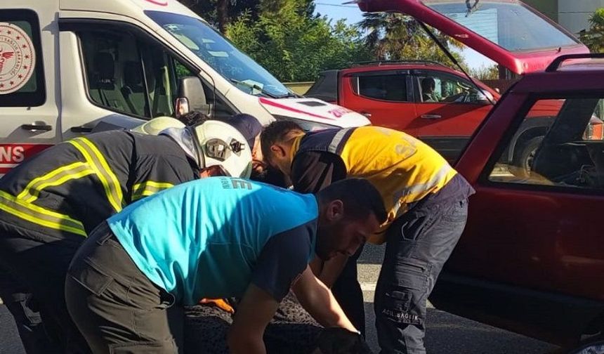 Karadeniz sahil yolunda feci kaza