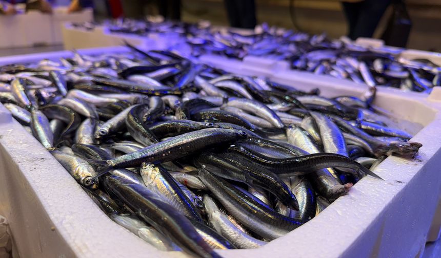 Trabzon’dan gelen taze balıklar Erzincan’da ilgi görüyor