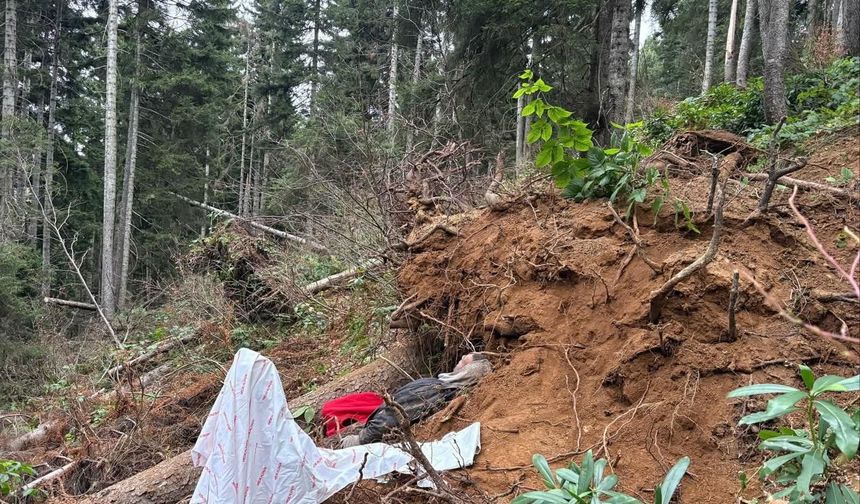 Kestiği ağacın altında kalan bir kişi hayatını kaybetti