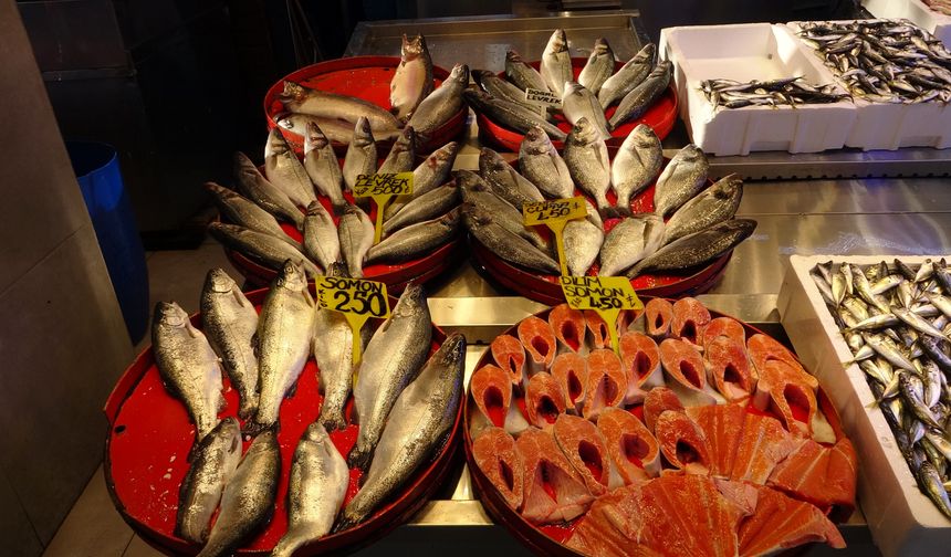 İstavrit hamsiyi tahtından etti