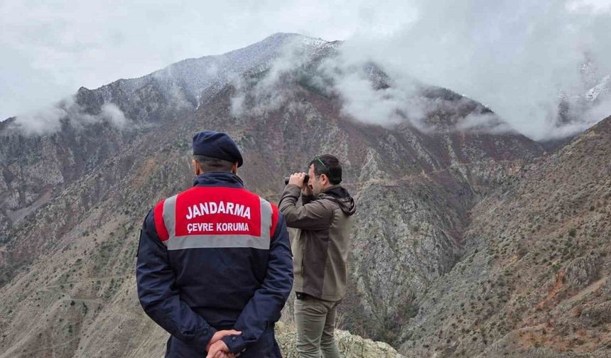 Artvin’de kaçak ve usulsüz avcılığa yönelik denetimler sürüyor