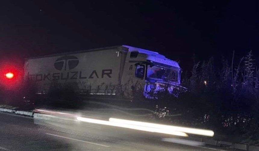 Tır aydınlatma direğine çarptı, şoför hayatını kaybetti