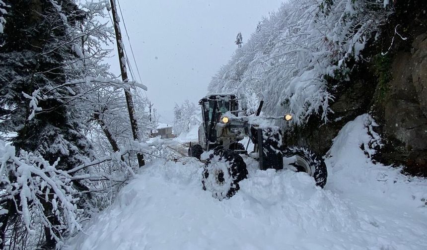 40 mahalle yolu kapalı:'Ulaşımın aksamaması için kar seferberliği'