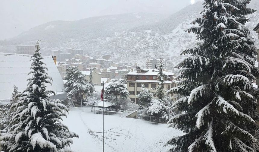 Gümüşhane'de kar nedeniyle 193 köy yolu ulaşıma kapandı