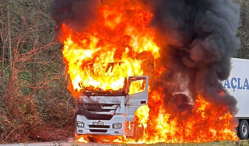 Arızalanan tır alev alev yandı