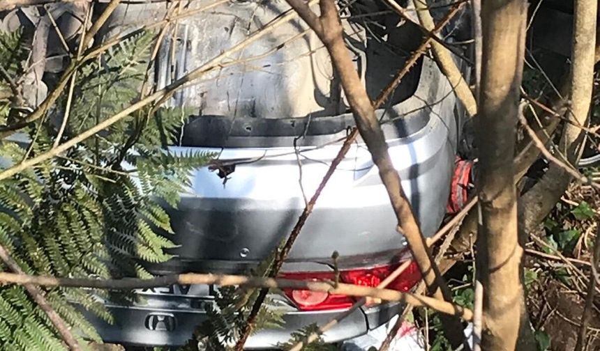 Trabzon'da trafik kazası