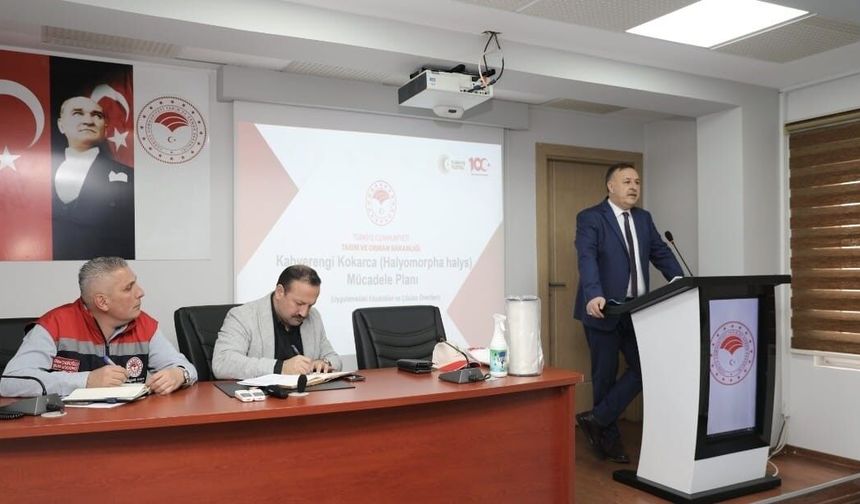 Trabzon'da kahverengi kokarca ile mücadelede yol haritası belirlendi